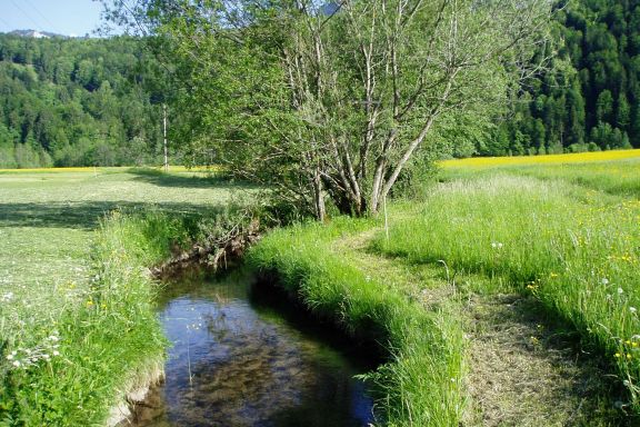 Barfussweg, Bizau